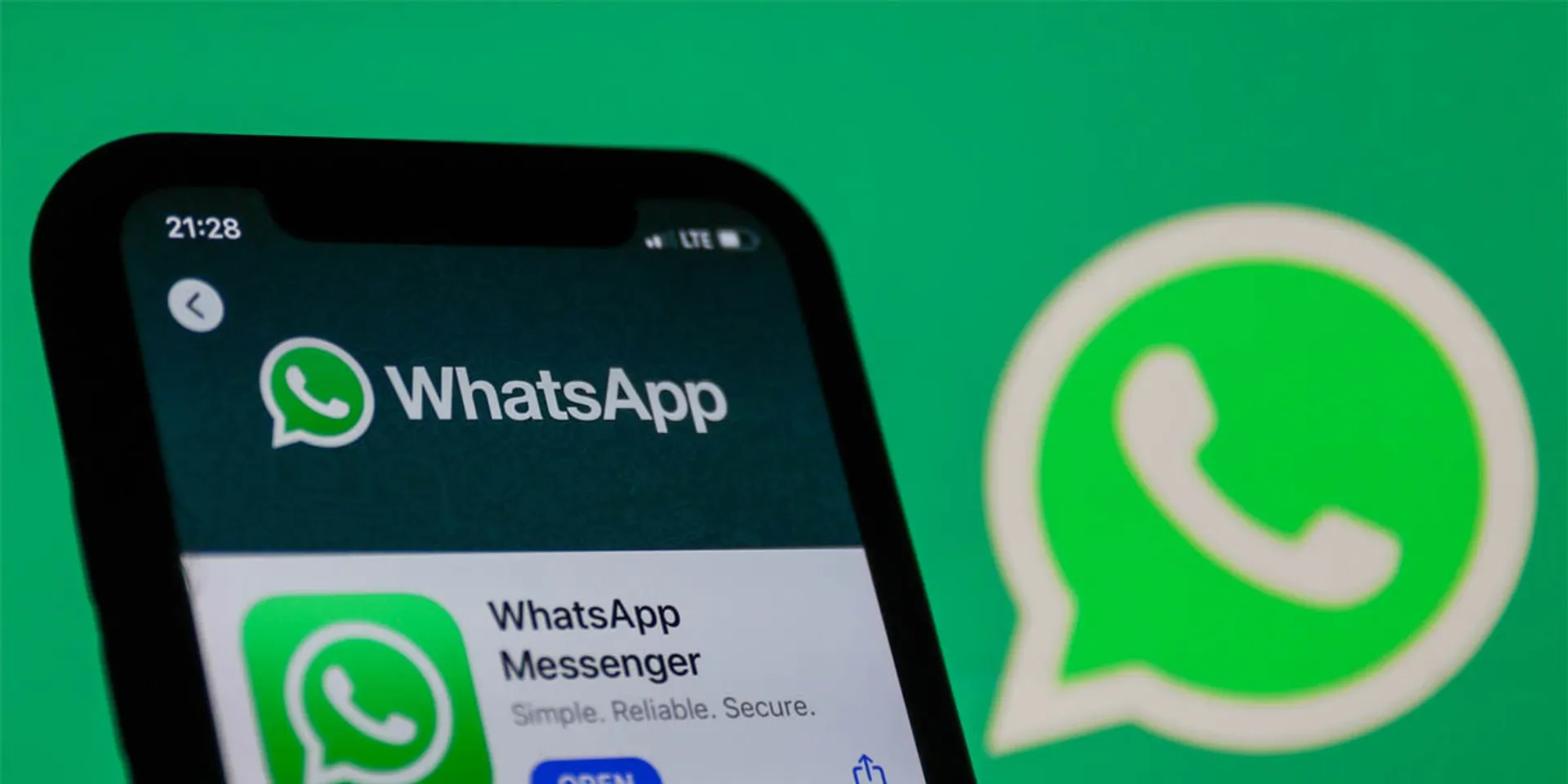 Trick-or-treating 'whatsapp' - the federal government is laying the blame!
