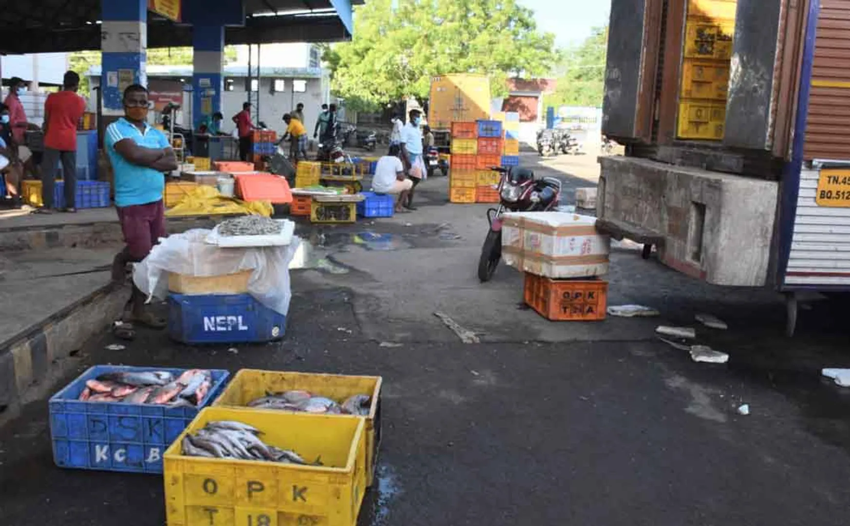 Bus station turned into a fish market - Sales slump due to high prices