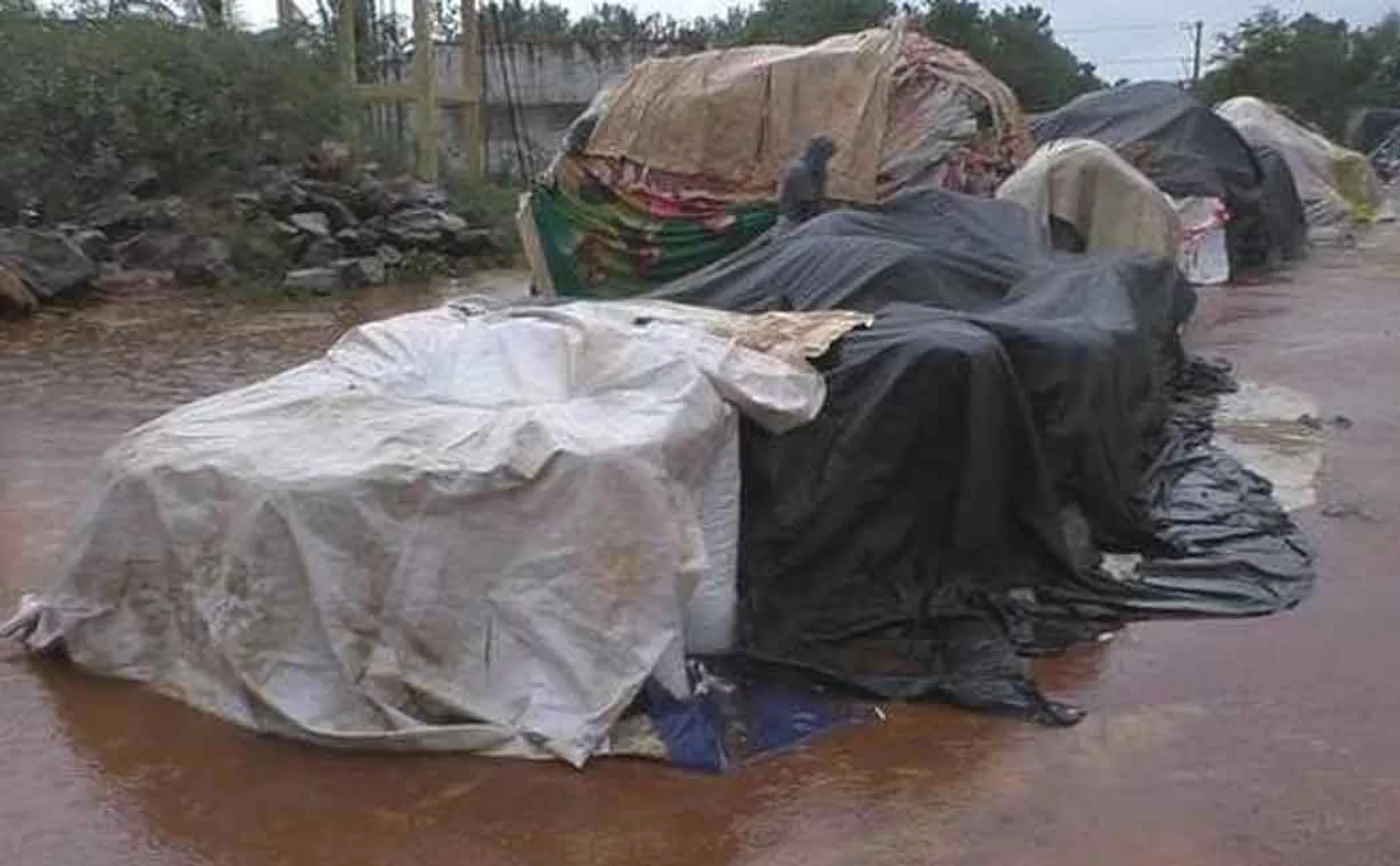 Rain-soaked paddy bundles; High Court orders government to take action ..!