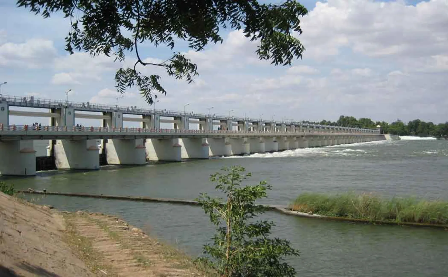 Cauvery water arrives in melanai: Delta farmers welcome with flower sprinkles 
