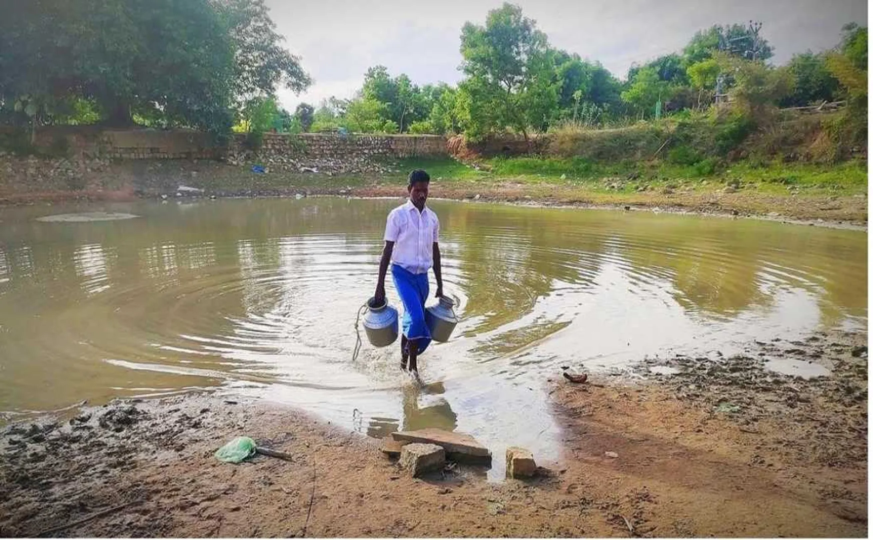 tree water youth service in pudukkottai district 