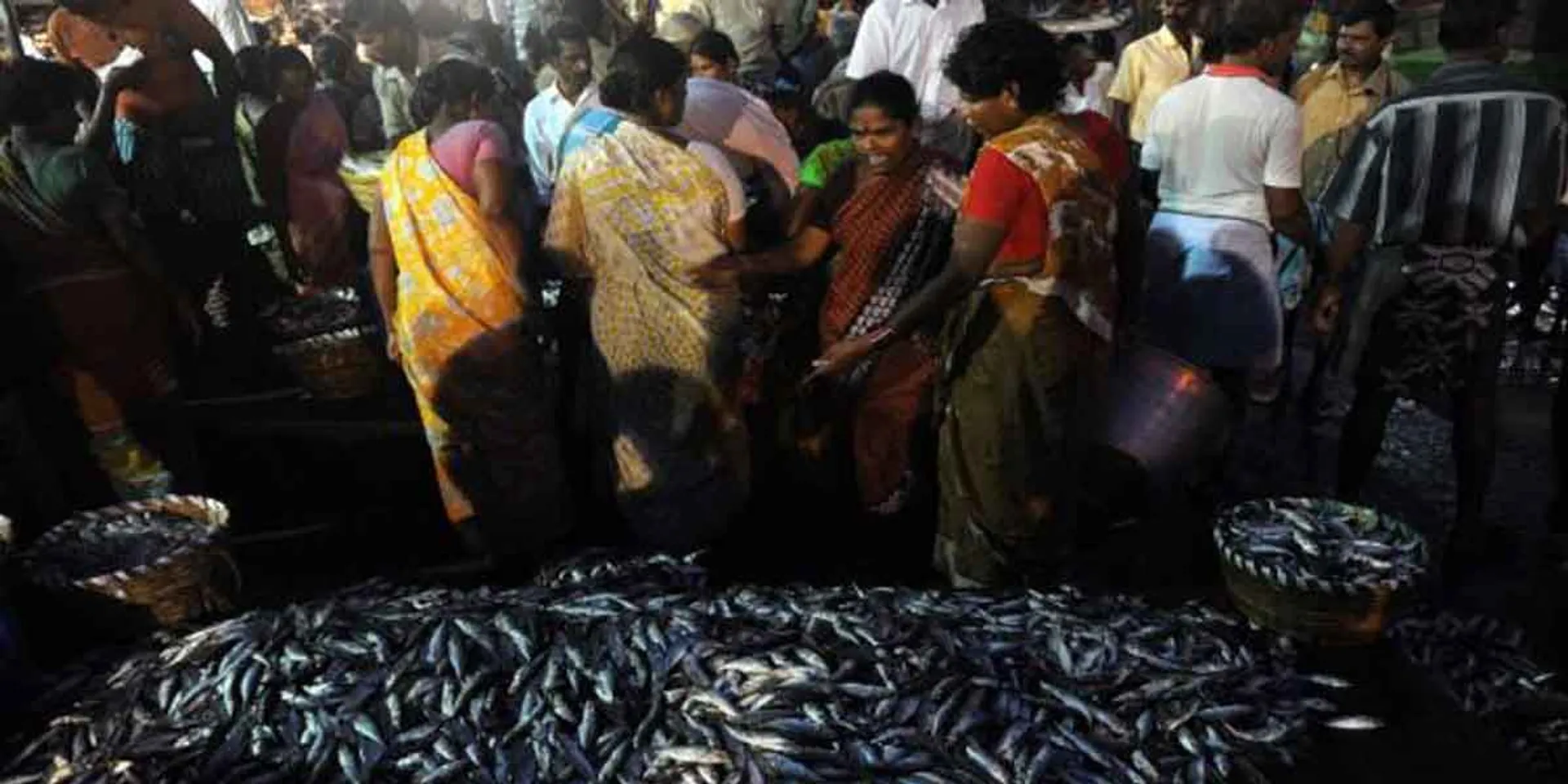 Questionable social distance in Cuddalore fish market!
