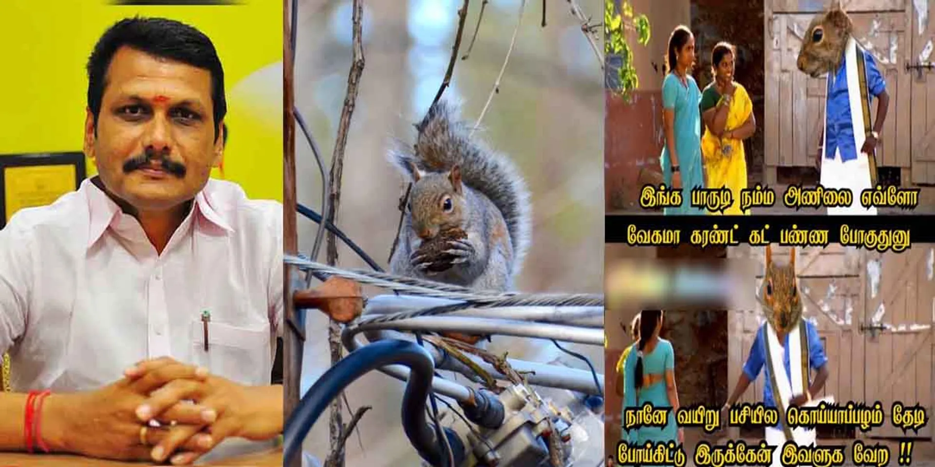 Squirrel blockade ... Support and opposition on social media for the minister's response!