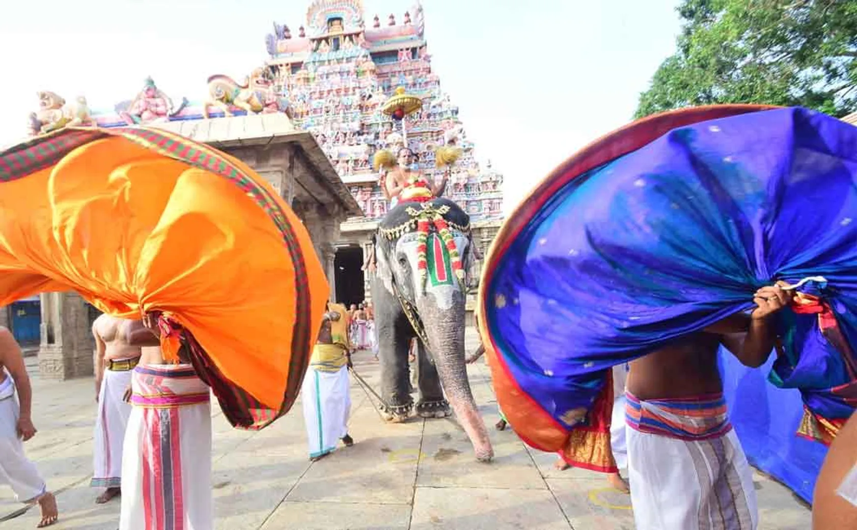 Jashtabhishekam begins in Trichy Srirangam! People standing on the road and praying the rituals