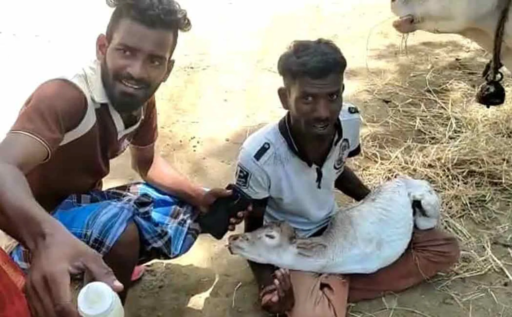 Cub suffering from inability to drink milk from mother  