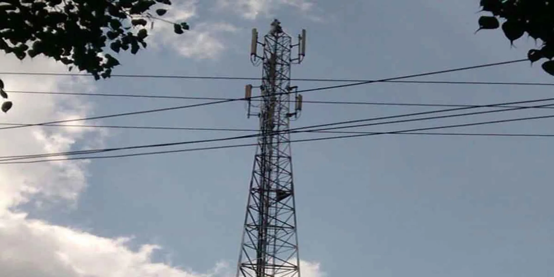  "I will go down only if Udayanidhi Stalin comes" - the woman who climbed the cell phone tower