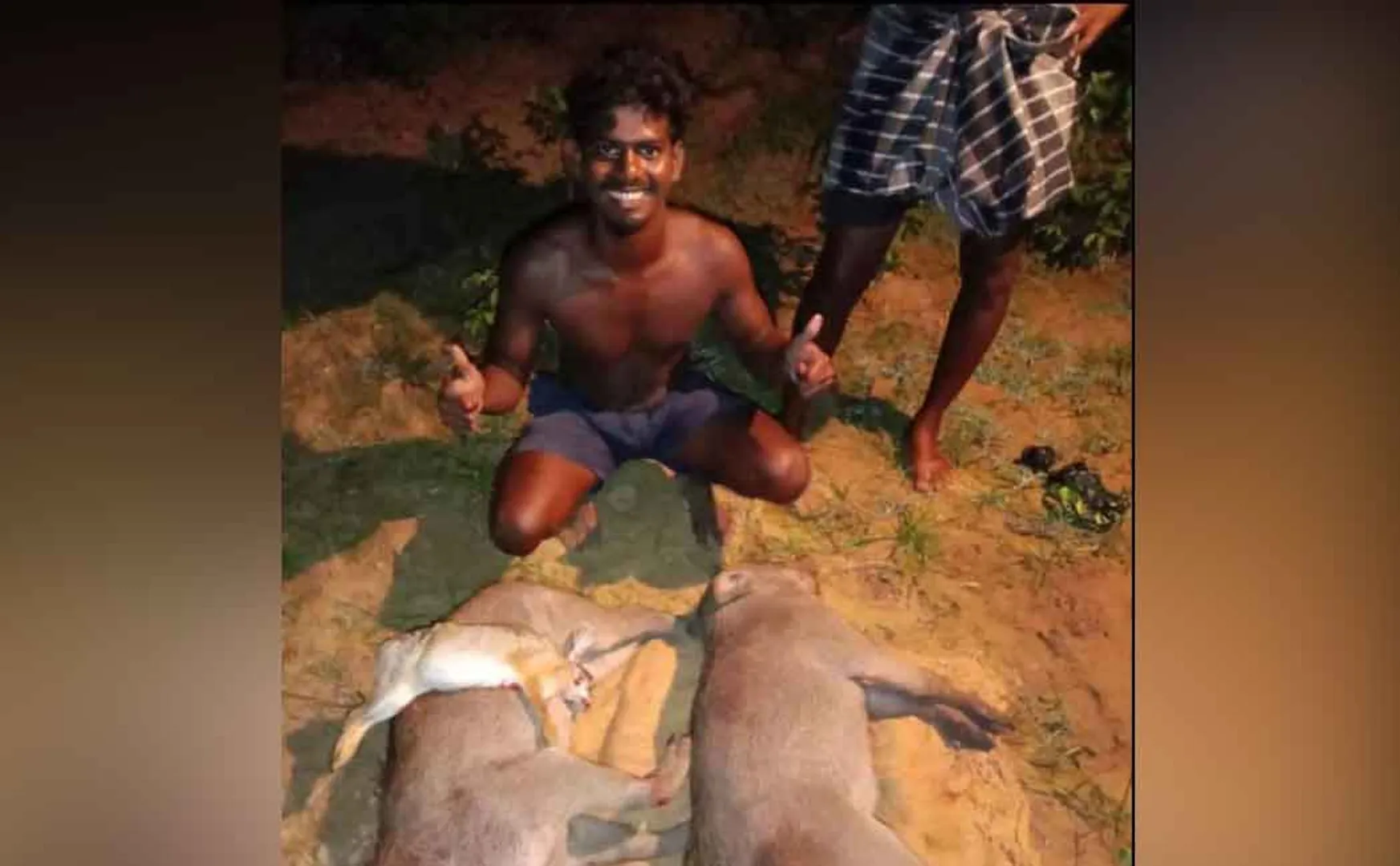Gun-assisted wildlife hunting: Social activists seeking action