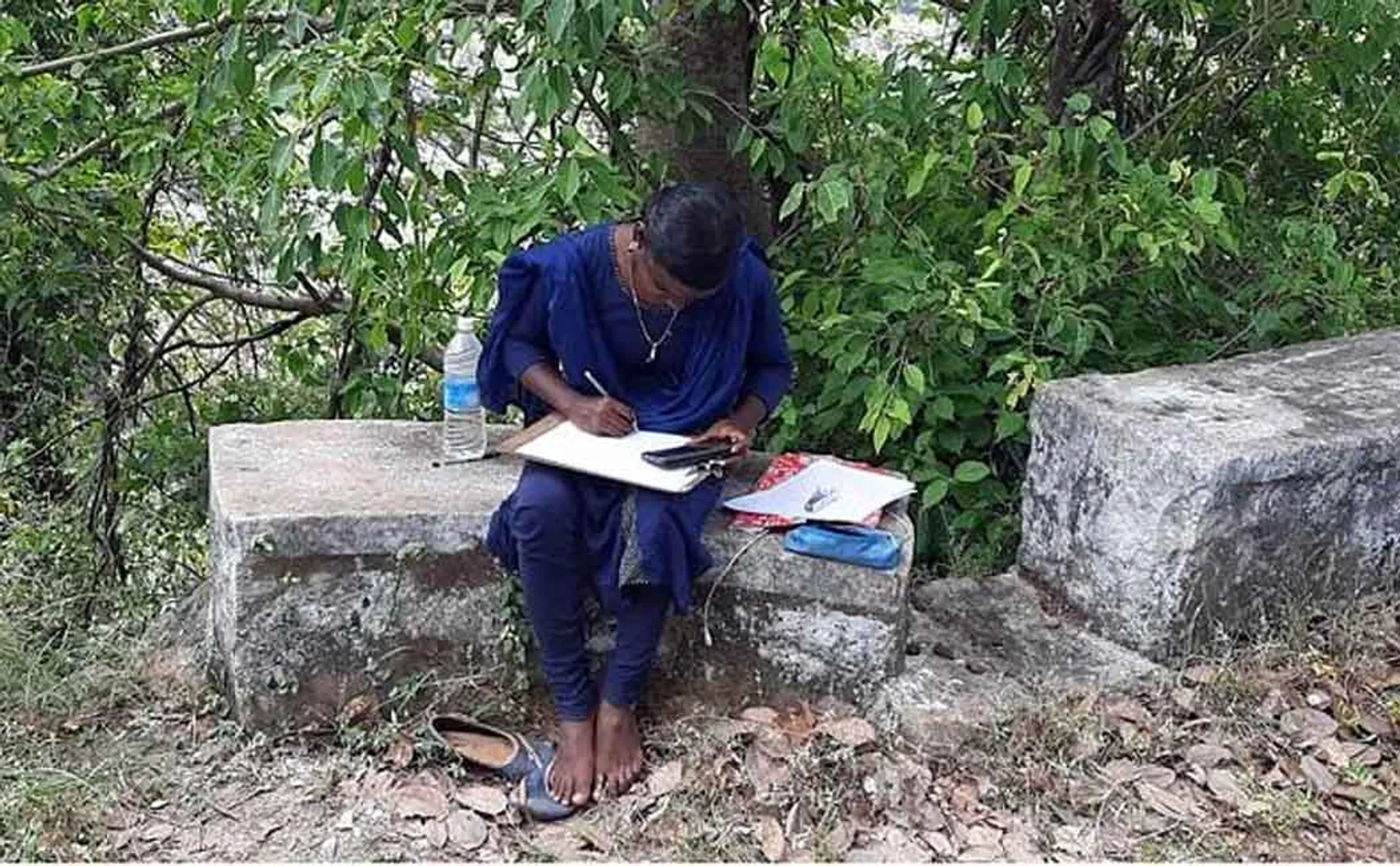 The student who sat in the middle of the forest and wrote the online exam