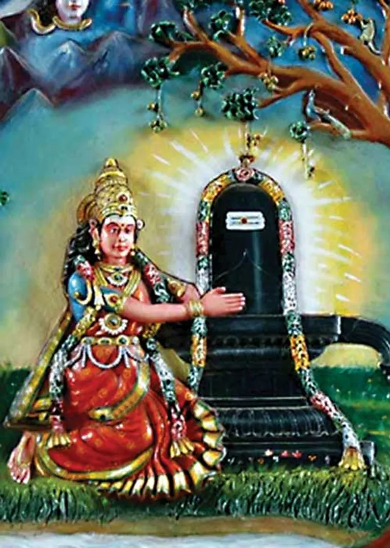 /idhalgal/om/kachchi-ekampan-solves-time-pain-dr-ira-rajeswaran