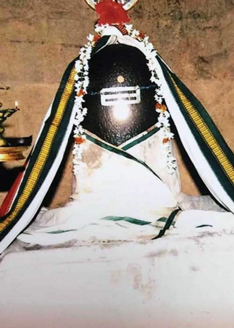 /idhalgal/om/lower-thirukkattupalli-eesan-recover-what-was-lost-and-live-happily-ever-after