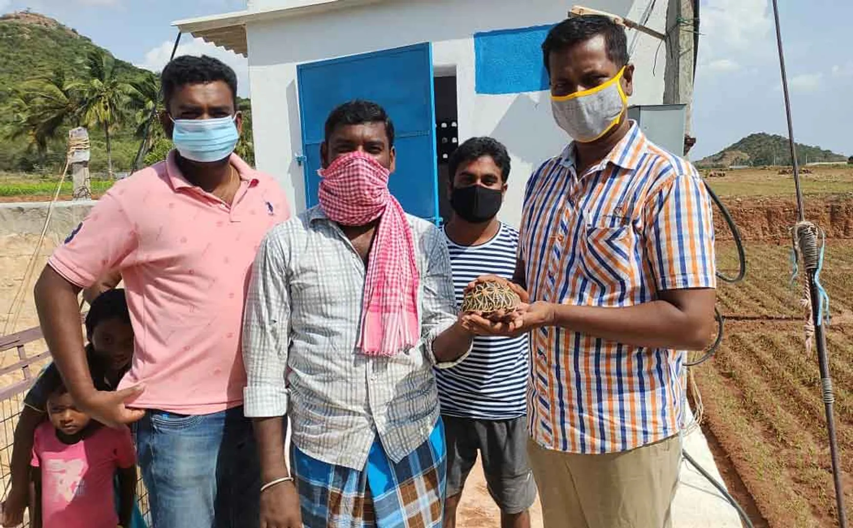 Star tortoise handed over to the forest department