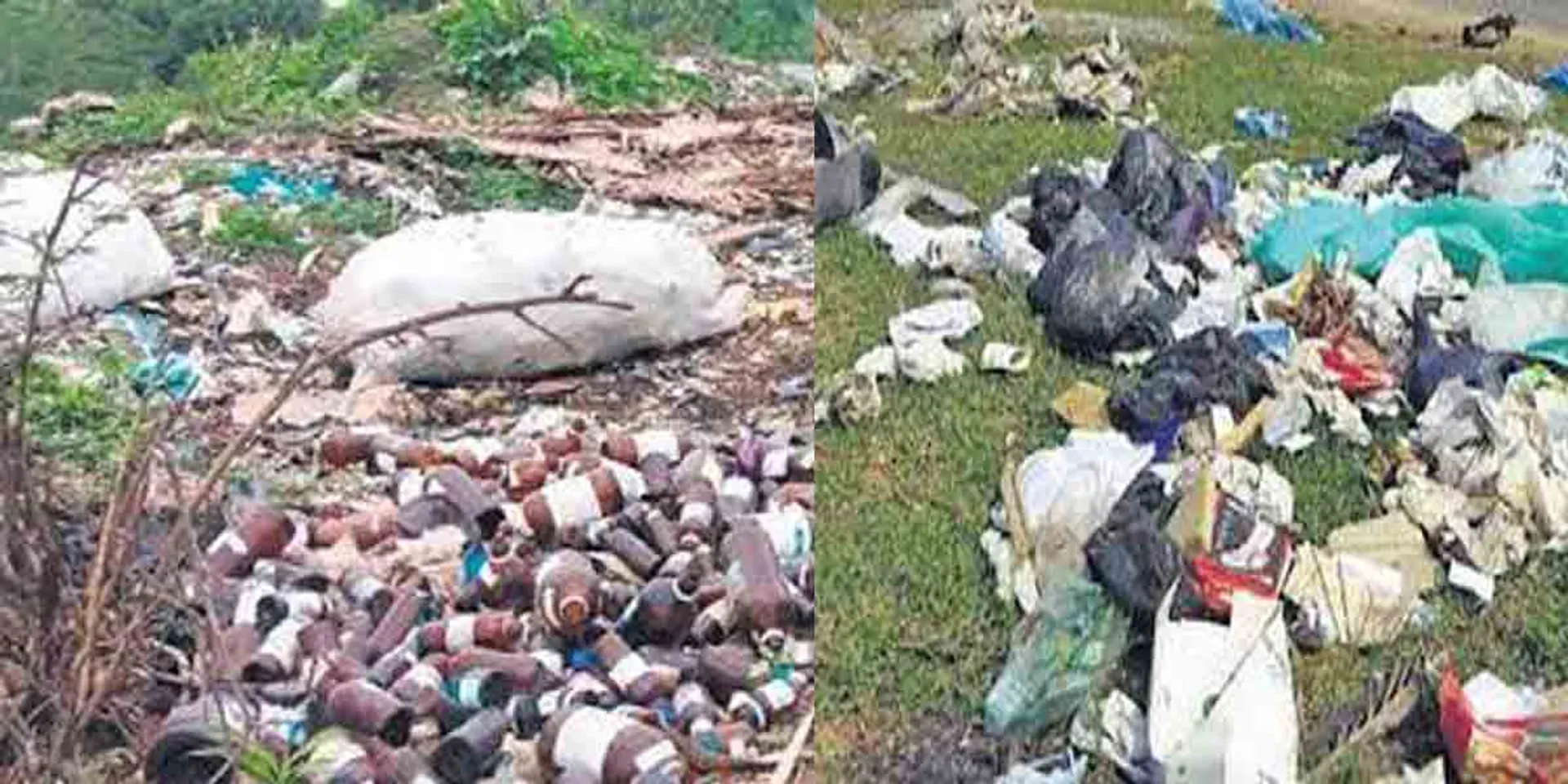  Medical waste dumped in Tamiraparani ... Public complaint!