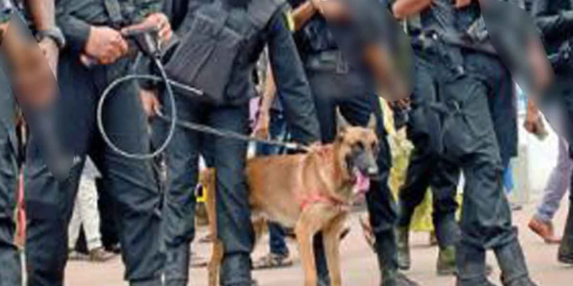 7 Bangladeshi arrested in Cuddalore