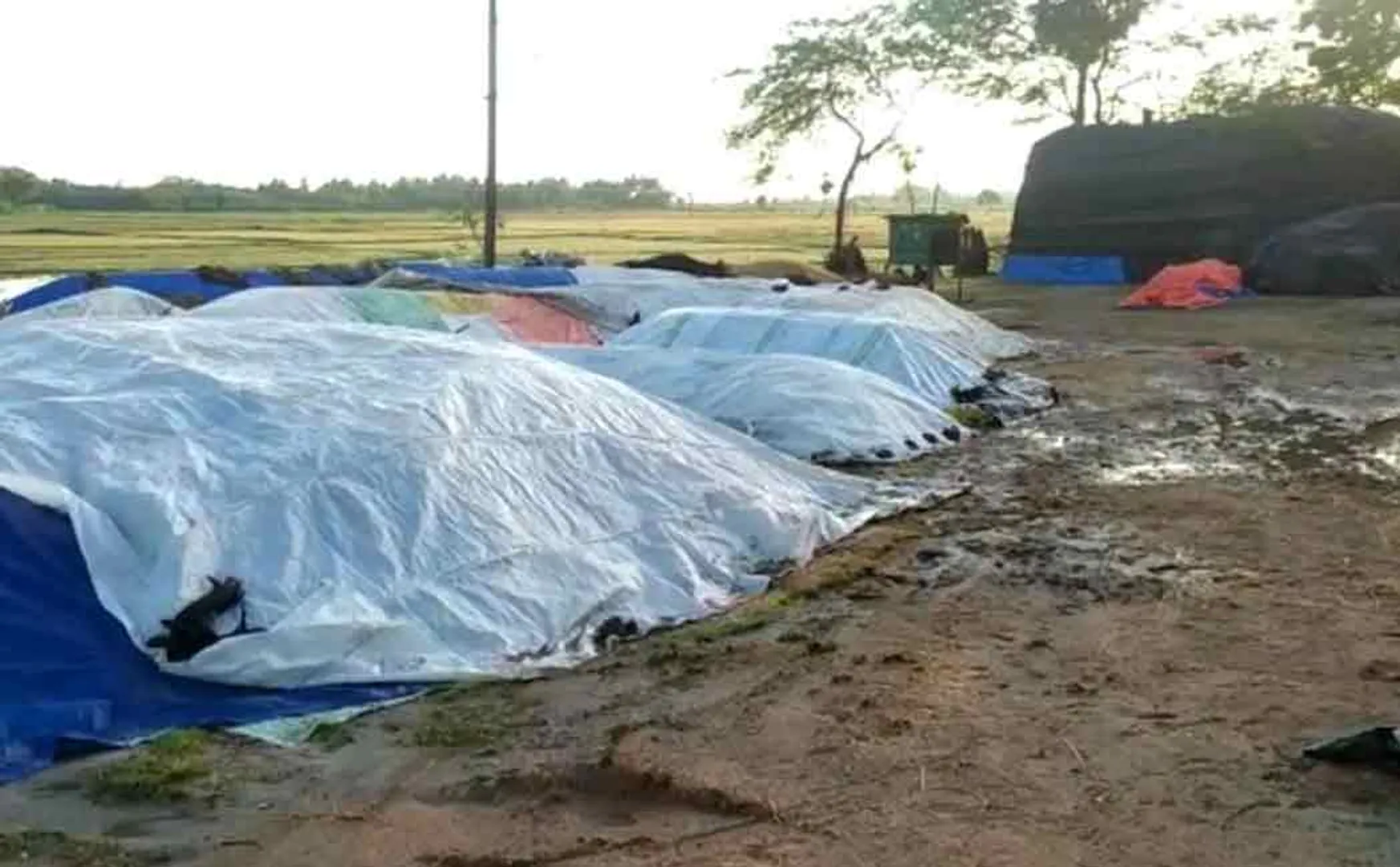 Paddy bundles damaged by rain ..! Farmers make demands to the district administration ..!