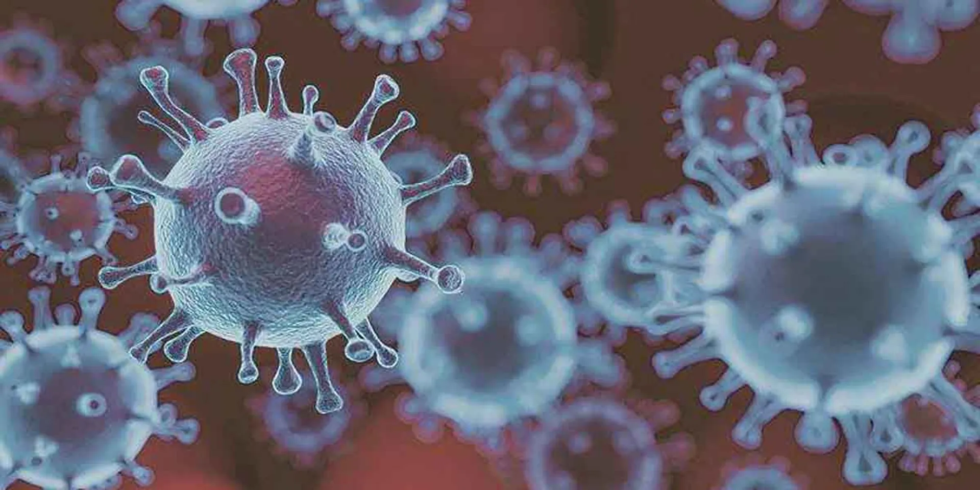  Sika virus threatening Kerala ... first vulnerability detected!