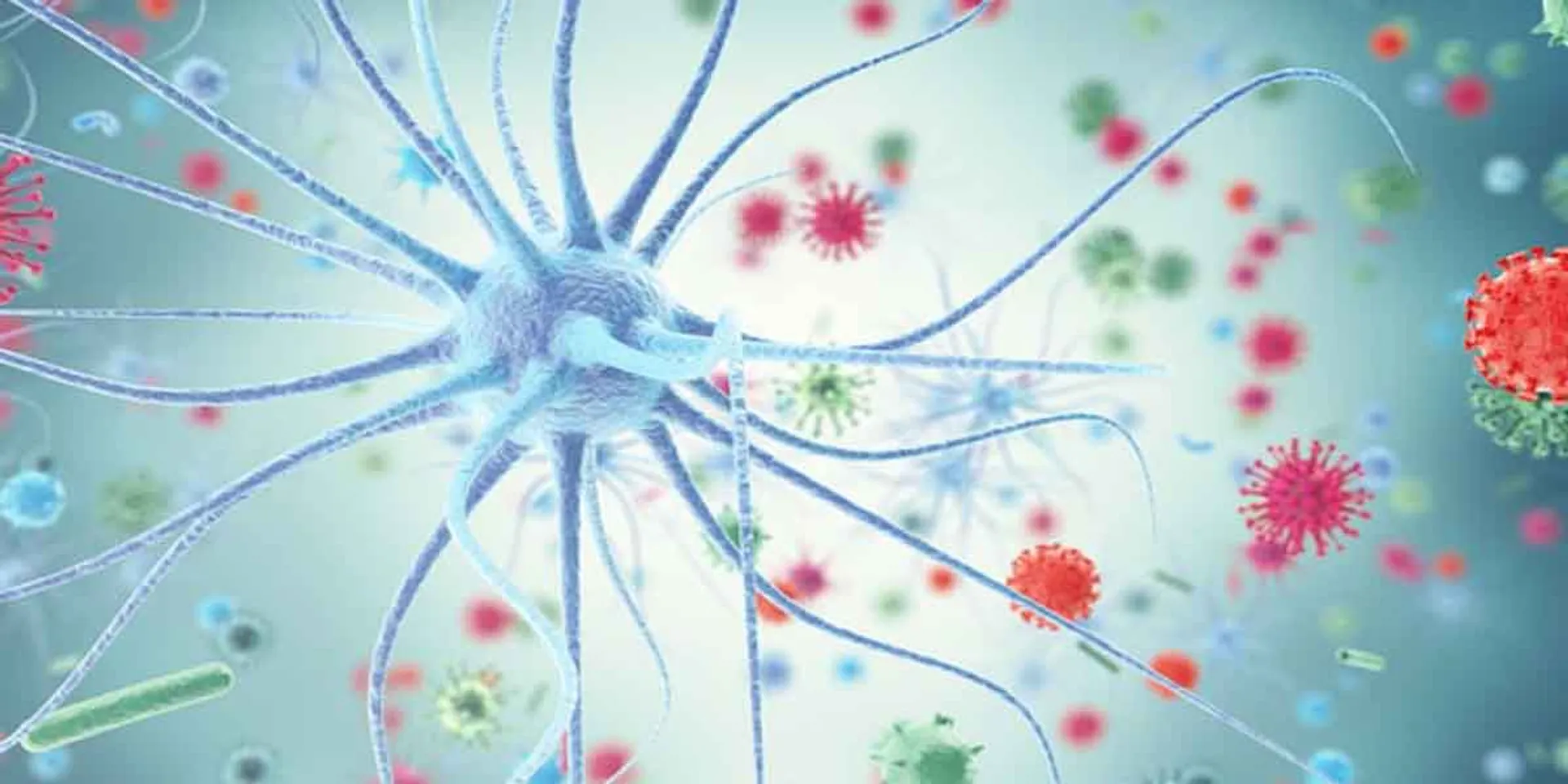 15 people infected with Sika virus in Kerala!