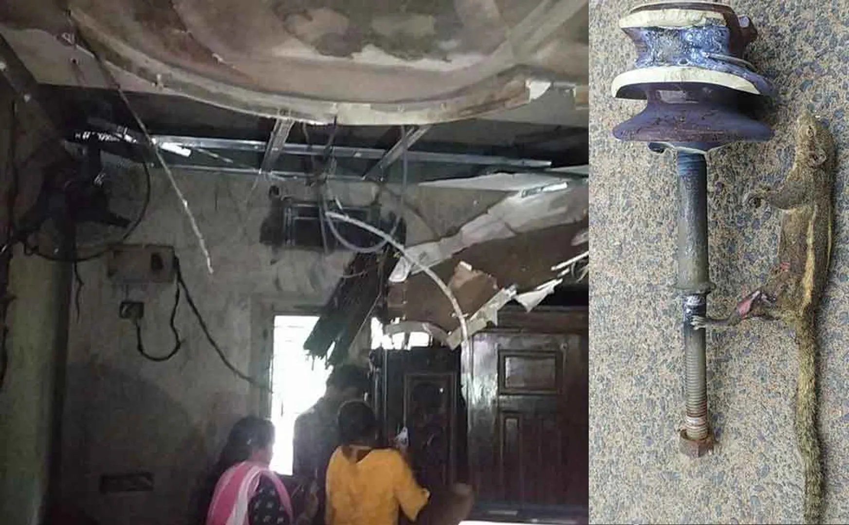 Squirrel playing on power line; home appliances burns in newly weds couple home