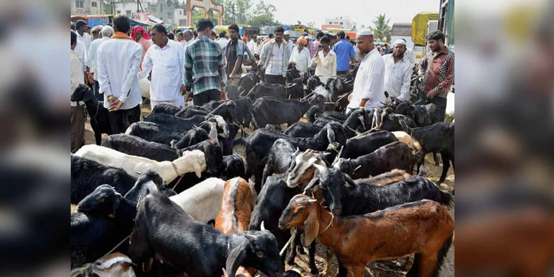 2 crore rupees in 3 hours... Ulundurpet goat market!