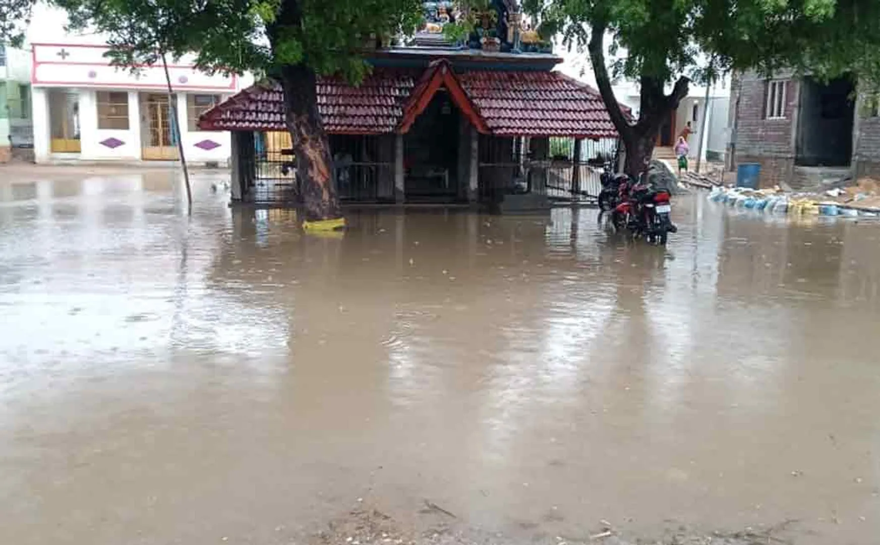 Stagnant rain water ..! People demand district and panchayat administration to take action ..!