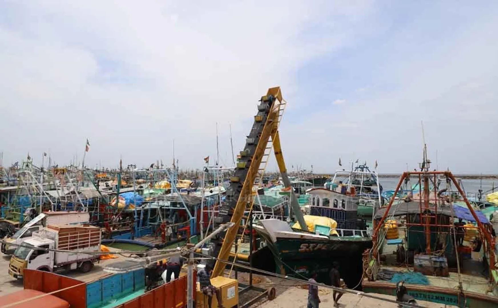 fishermans cuddalore and nagai tn govt 