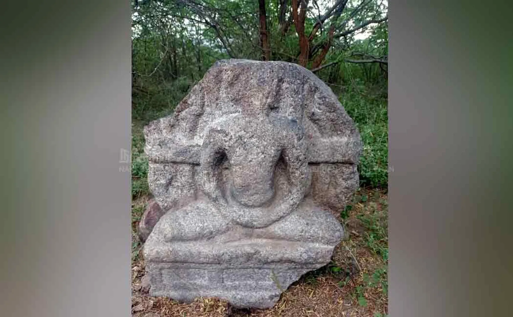 Discovery of the ancient Mahavira sculpture 