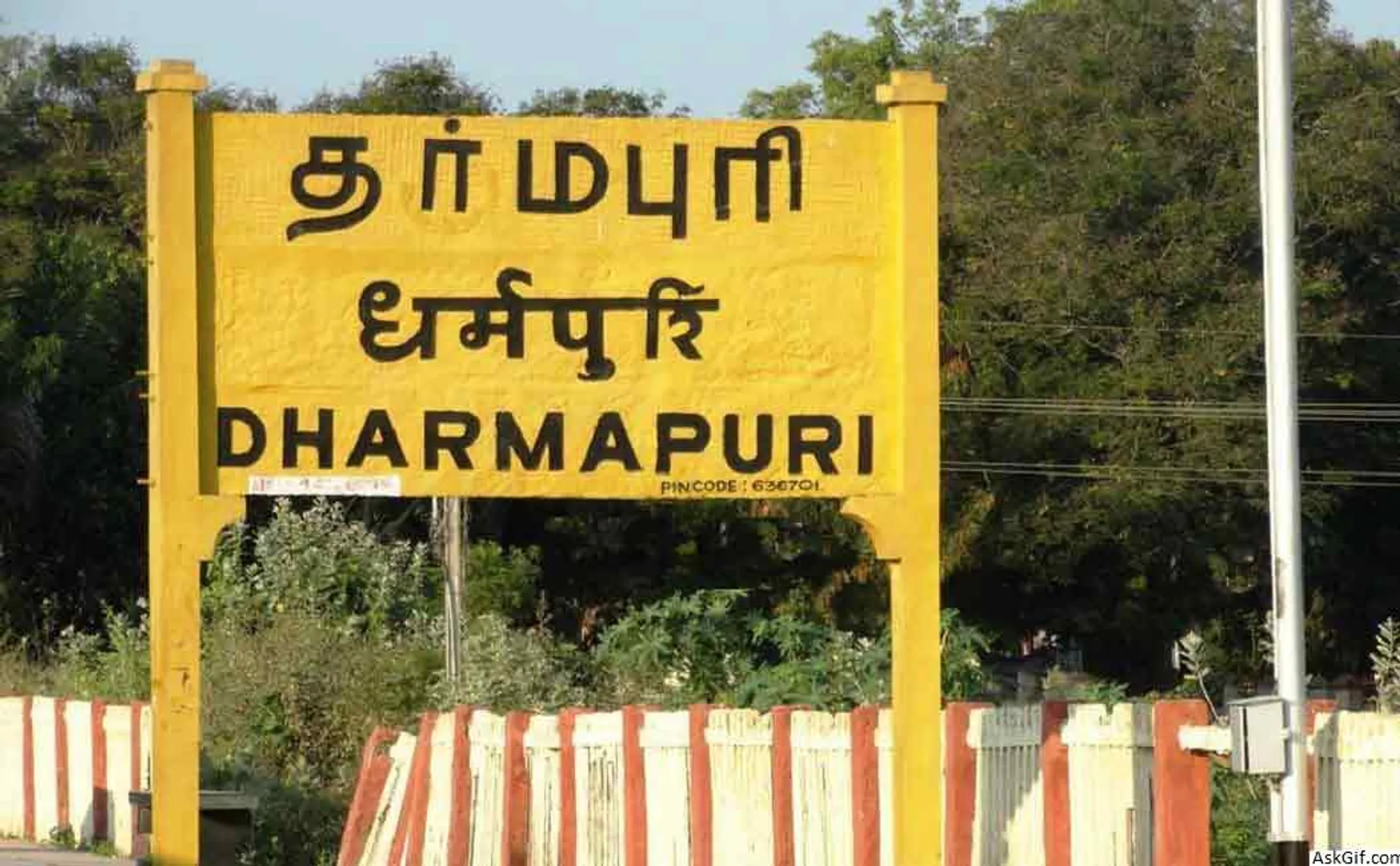 3 rifles found in different places in Dharmapuri 
