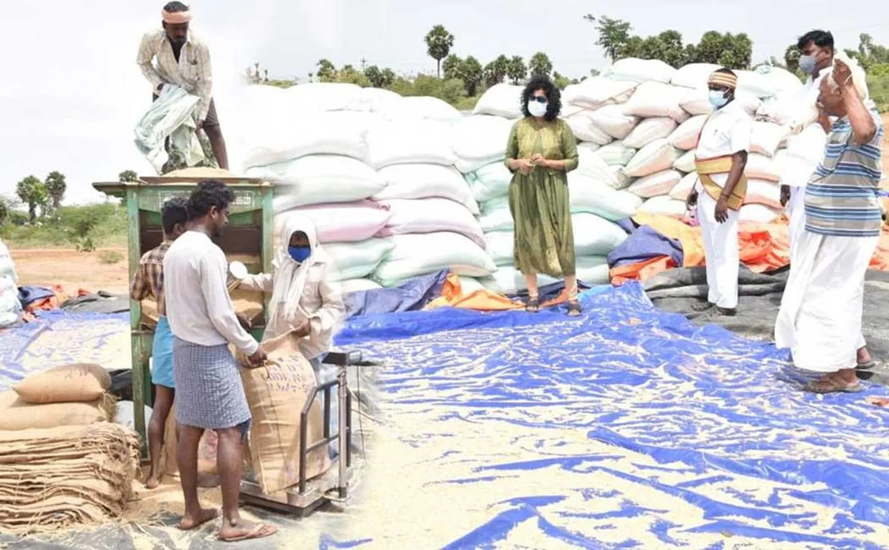 Minister Meyyanathan made a request to the Minister of Food
