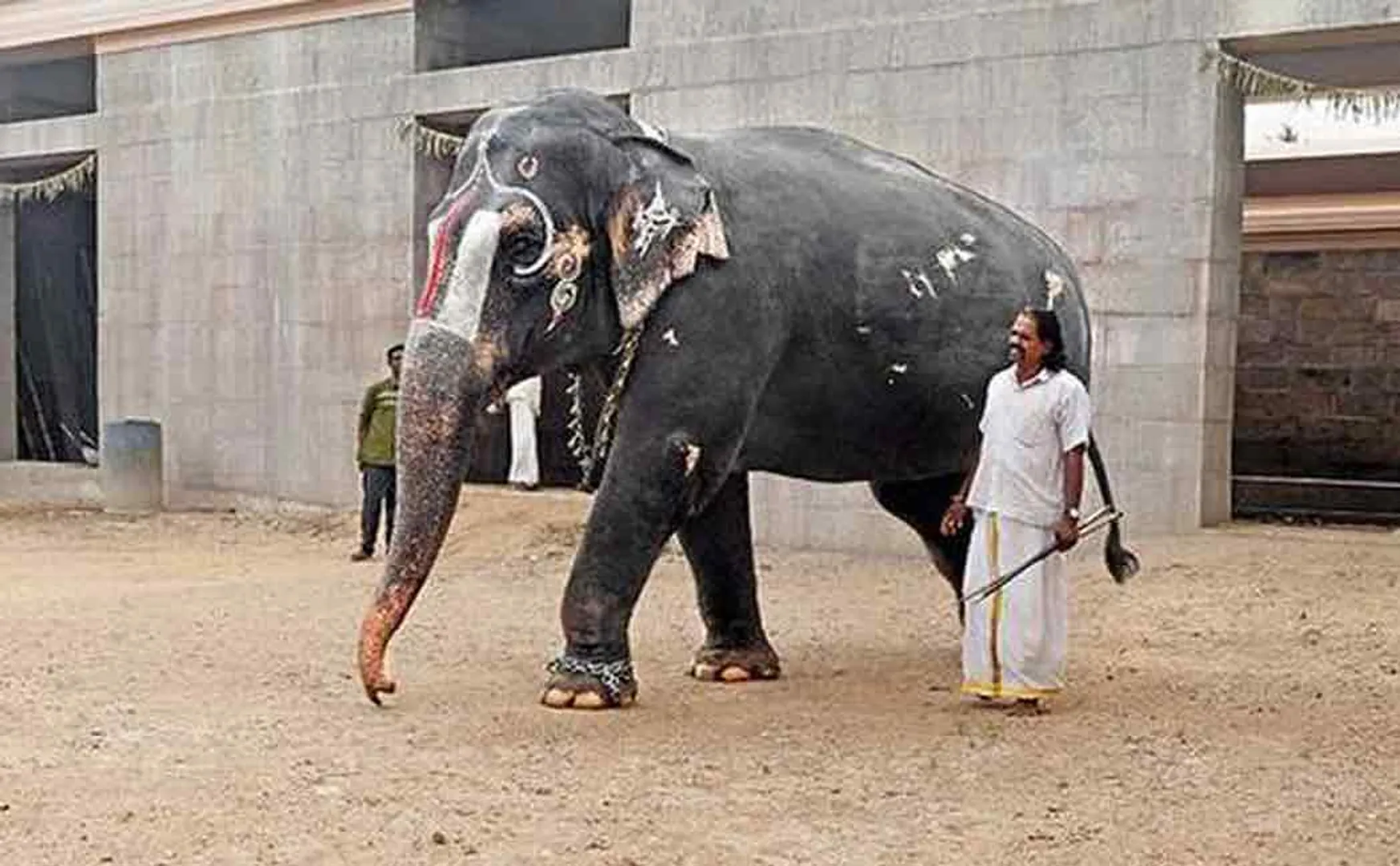 Temple elephant care case; High Court orders forest ranger ..!