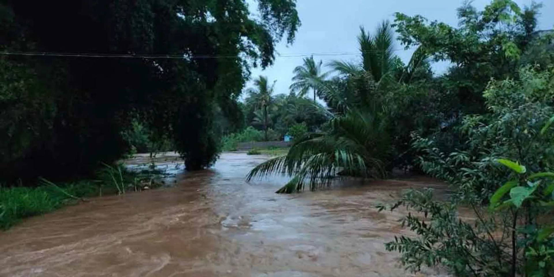  Heavy rains in Nilgiris, Coimbatore today ... Meteorological Center Information!
