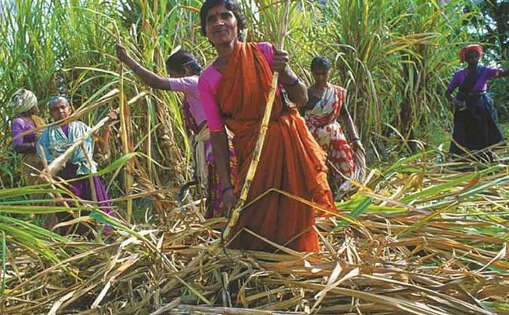 "Struggle in front of the sugar mill to stress the demands of the farmers" - Sugarcane Farmers Resolution