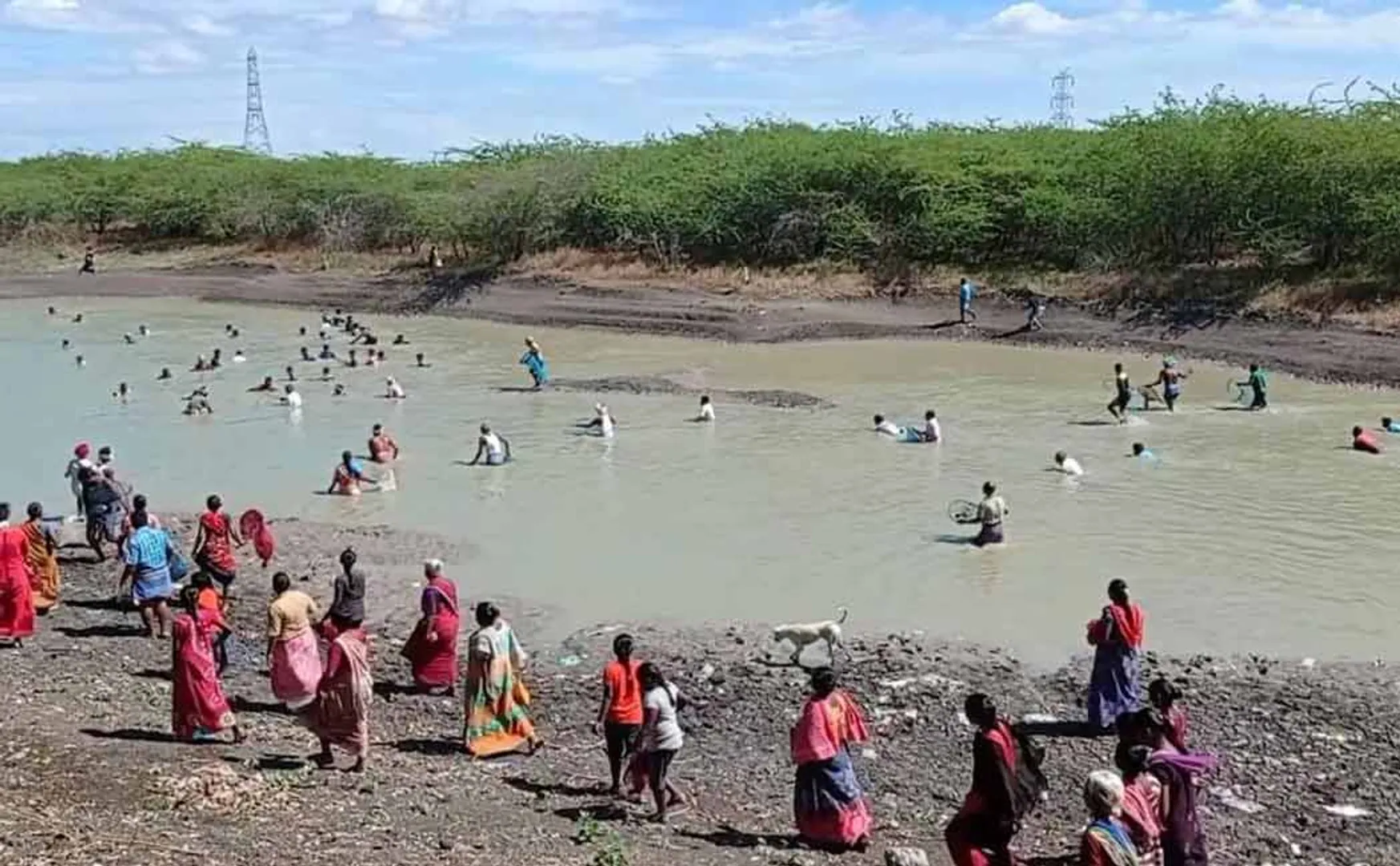 Fishing festival in violation of curfew rules .. Individual negligence ..?