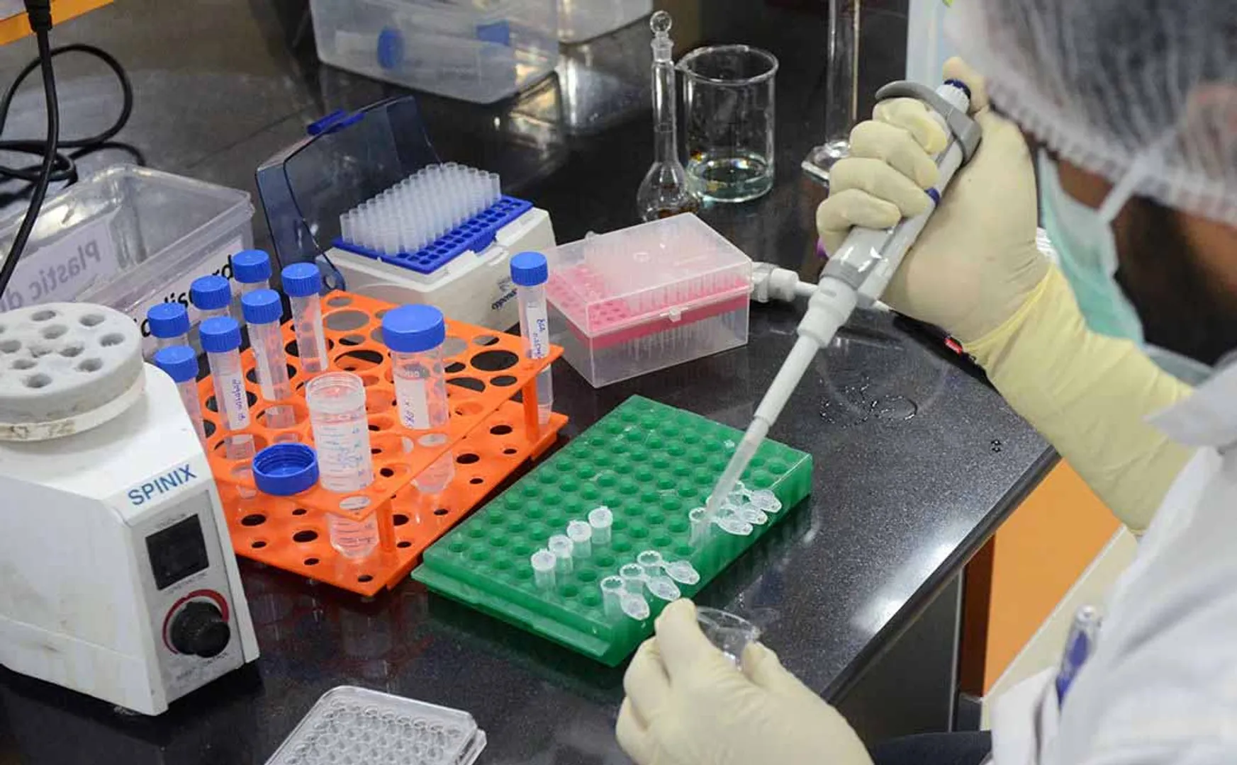 What is the immunity in the third phase study?