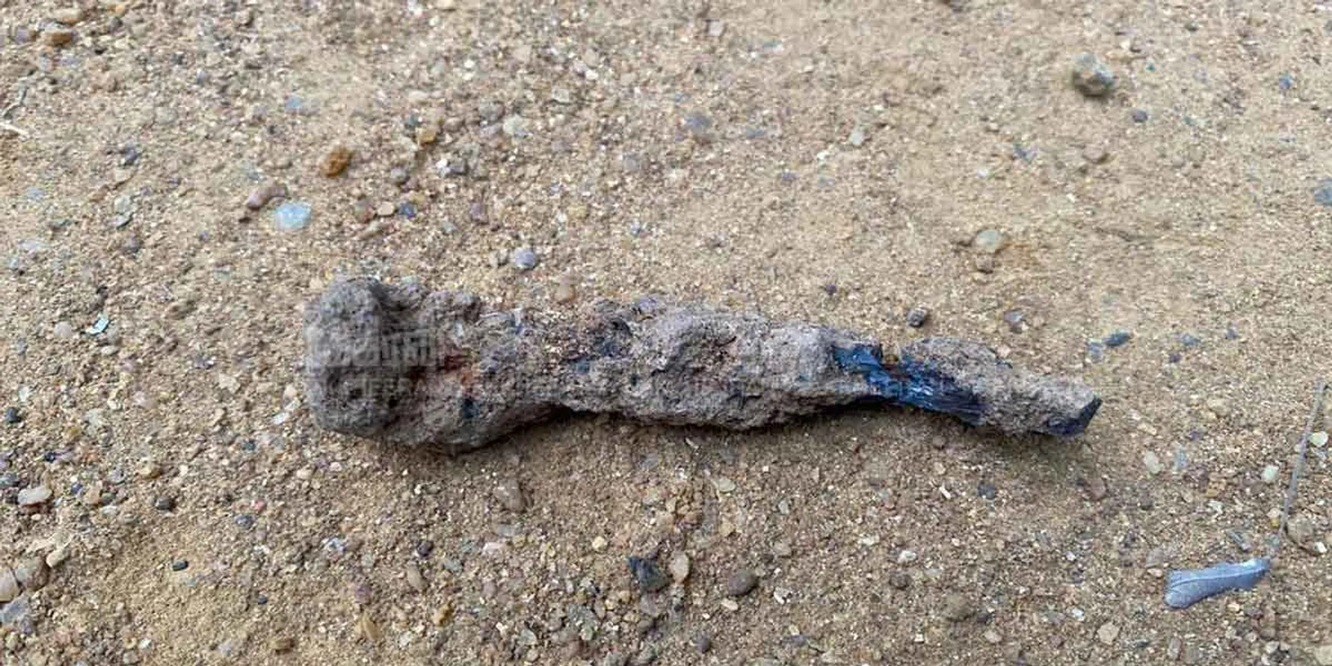 The nail found in the excavation of Porpanaikottai Sangakkala fort ... the team is happy!
