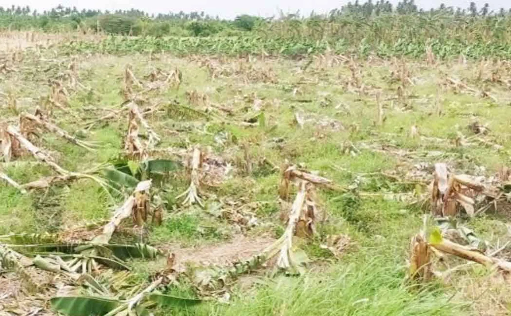 Land lease dispute .. Police investigation into two ..!