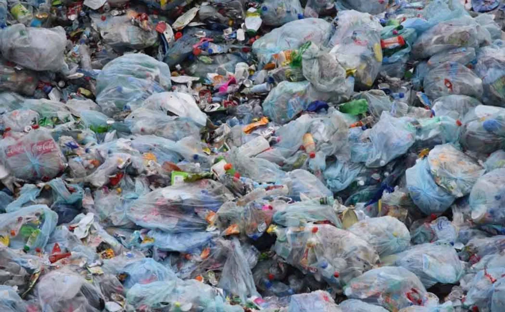 plastic 