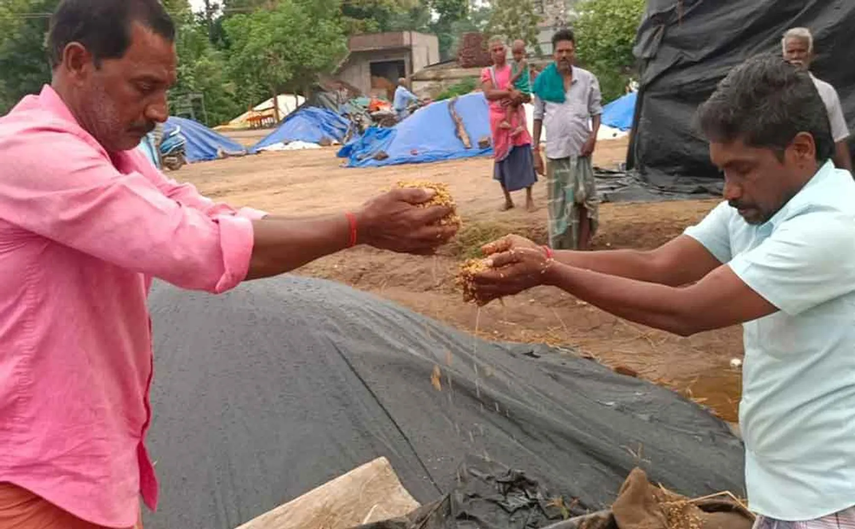 Employee suspended for fraud in paddy procurement