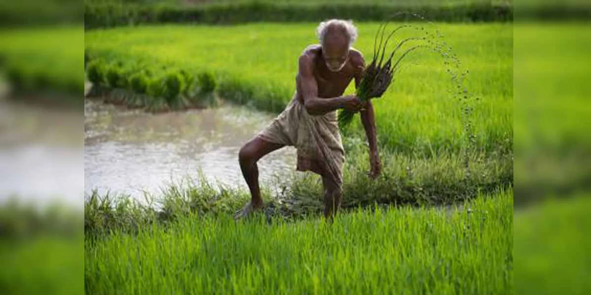 Tamil Nadu's first agriculture budget filed today!