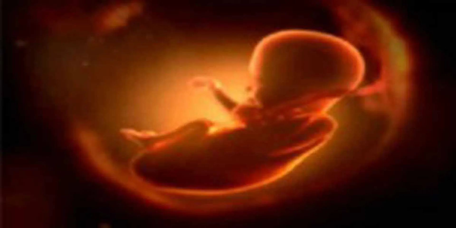 nurse who helped in abortion arrested!