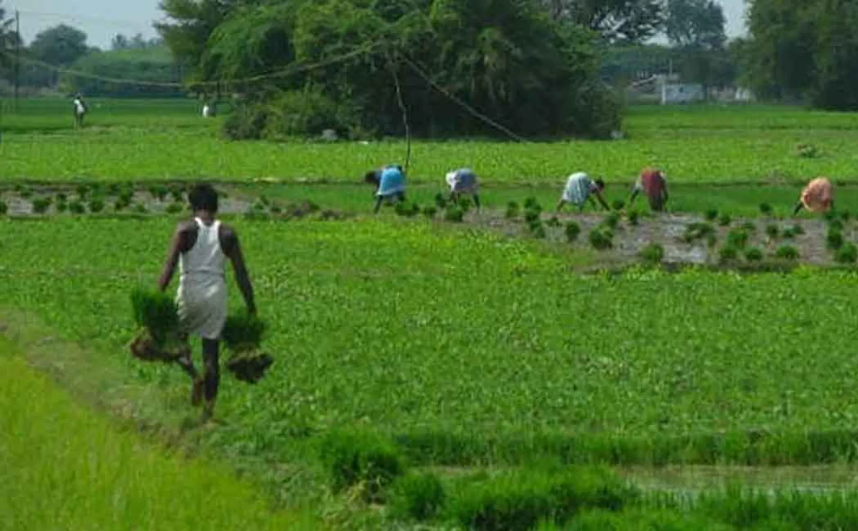 Rs 4.44 crore subsidy schemes ready for farmers; Call to apply!