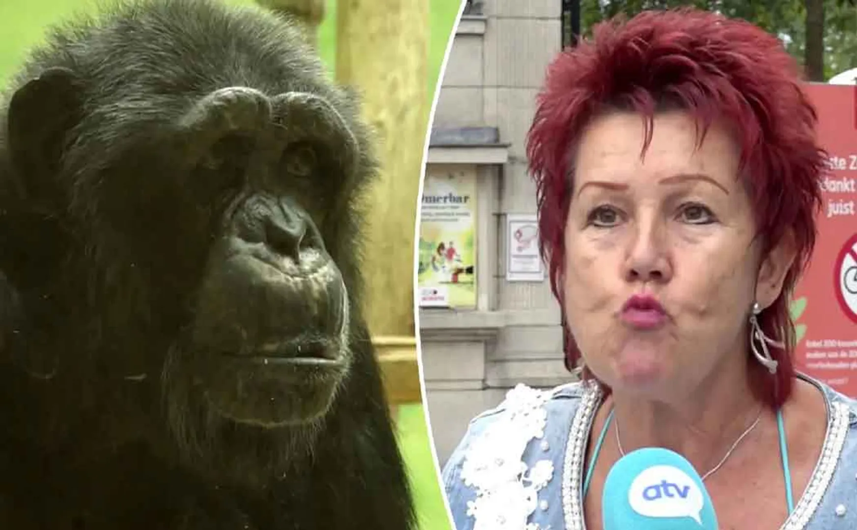 ‘Love with ape’ - teen banned from coming to the park