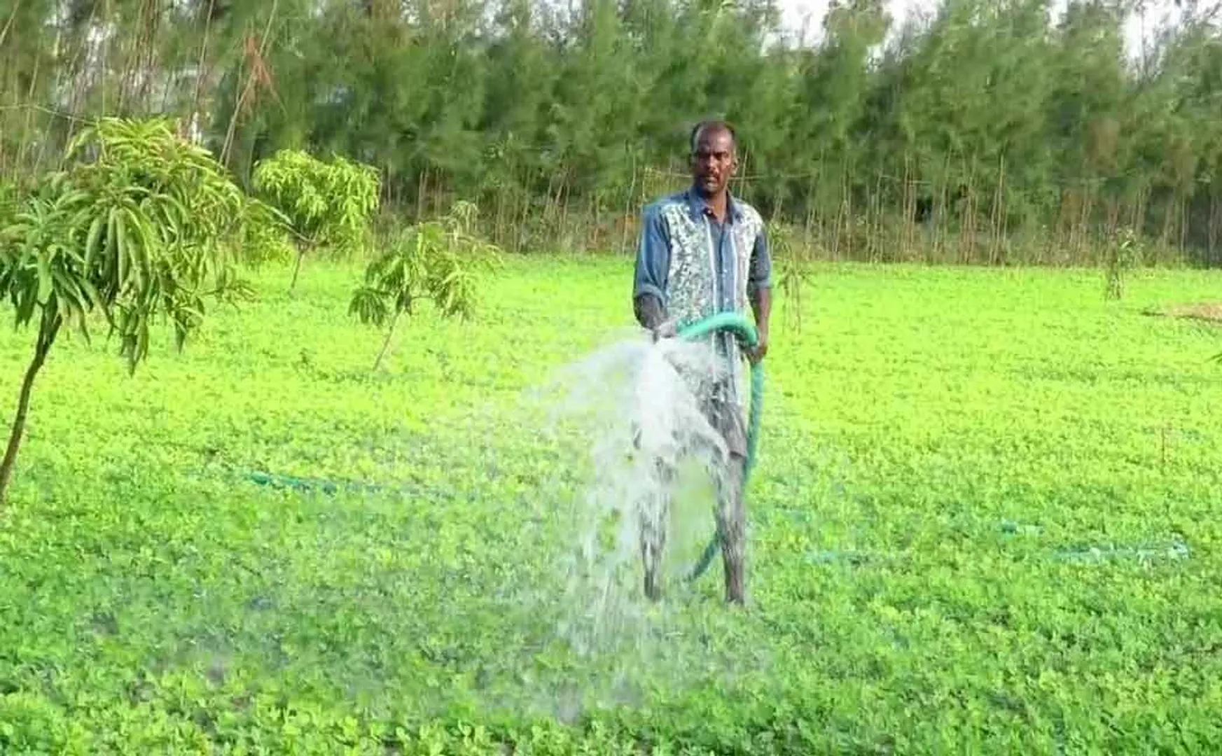 "This is a historic decision" - Farmers happy