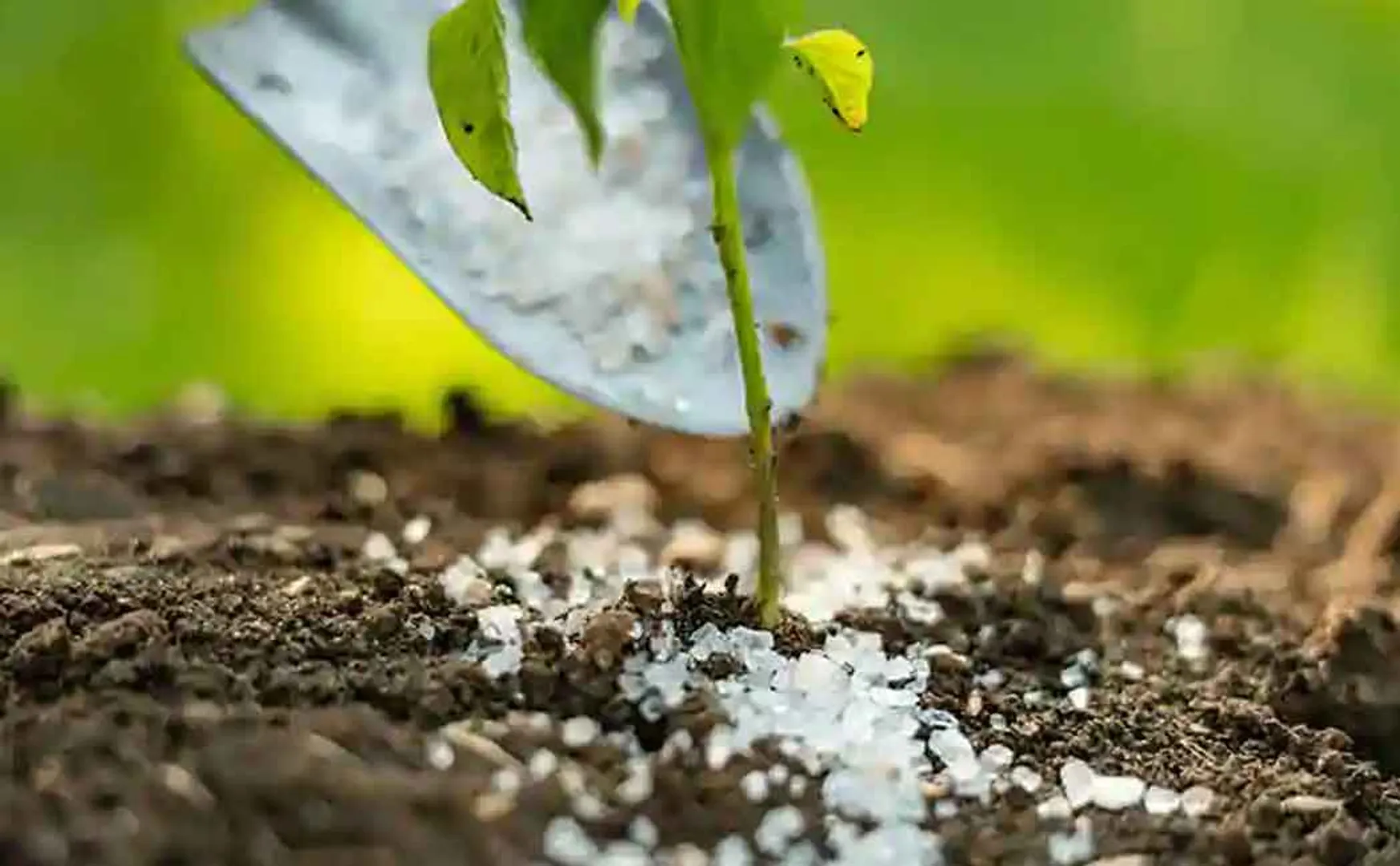 Discovery of non-standard 310 pesticides! Action on 15 companies!