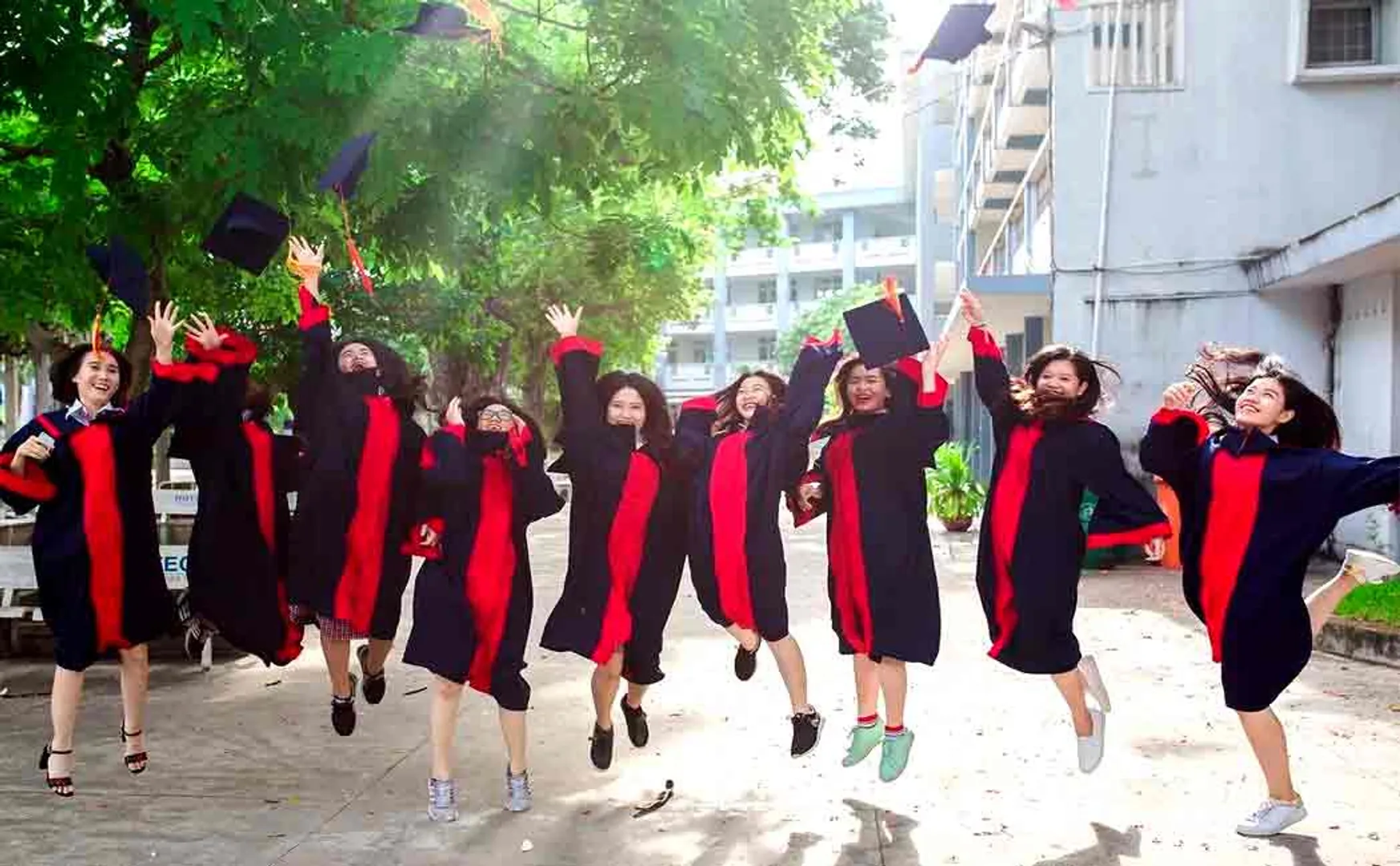 Free Neet Coaching - Studying MBBS in abroad is easy now - Kings Academy Offer