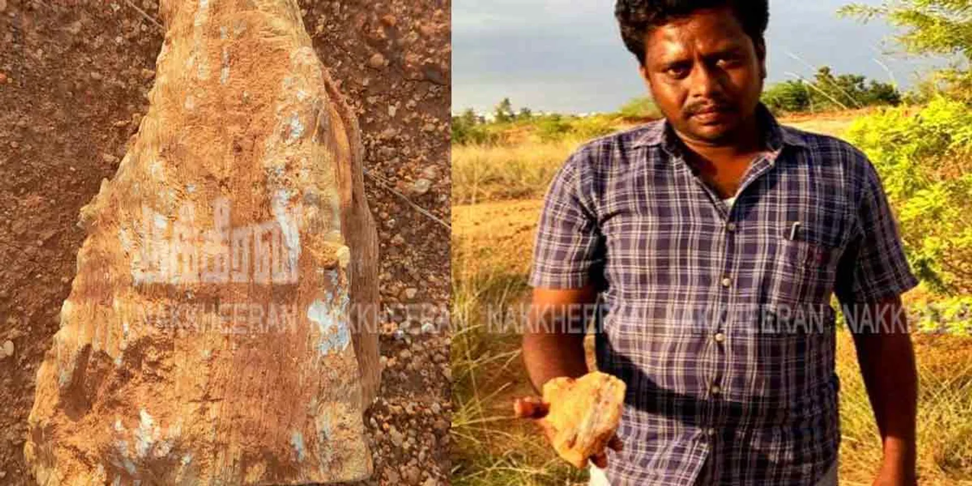 Discovery of a stone again in the Pudukkottai Narimedu area!