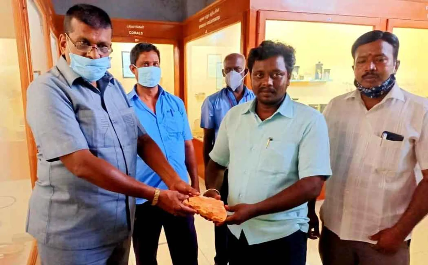 The 100 million year old stone was handed over to the museum