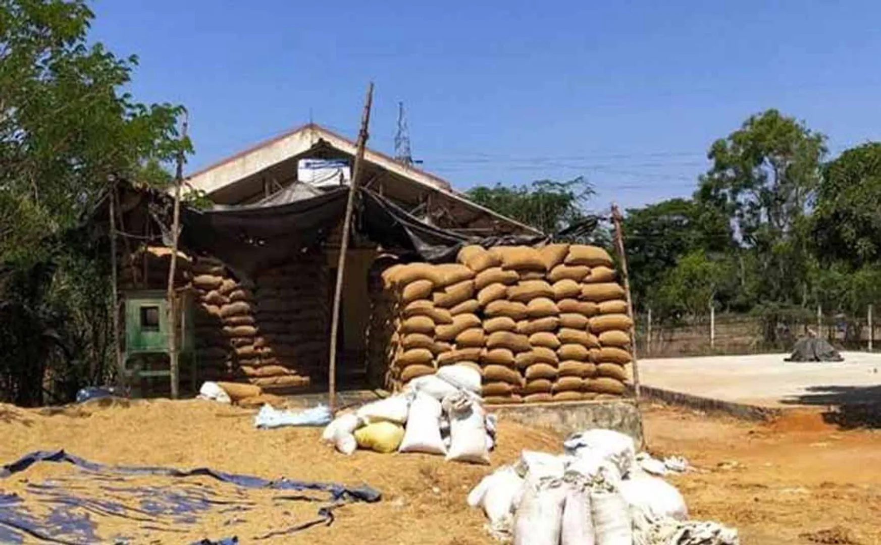 Introducing web site service for paddy procurement!
