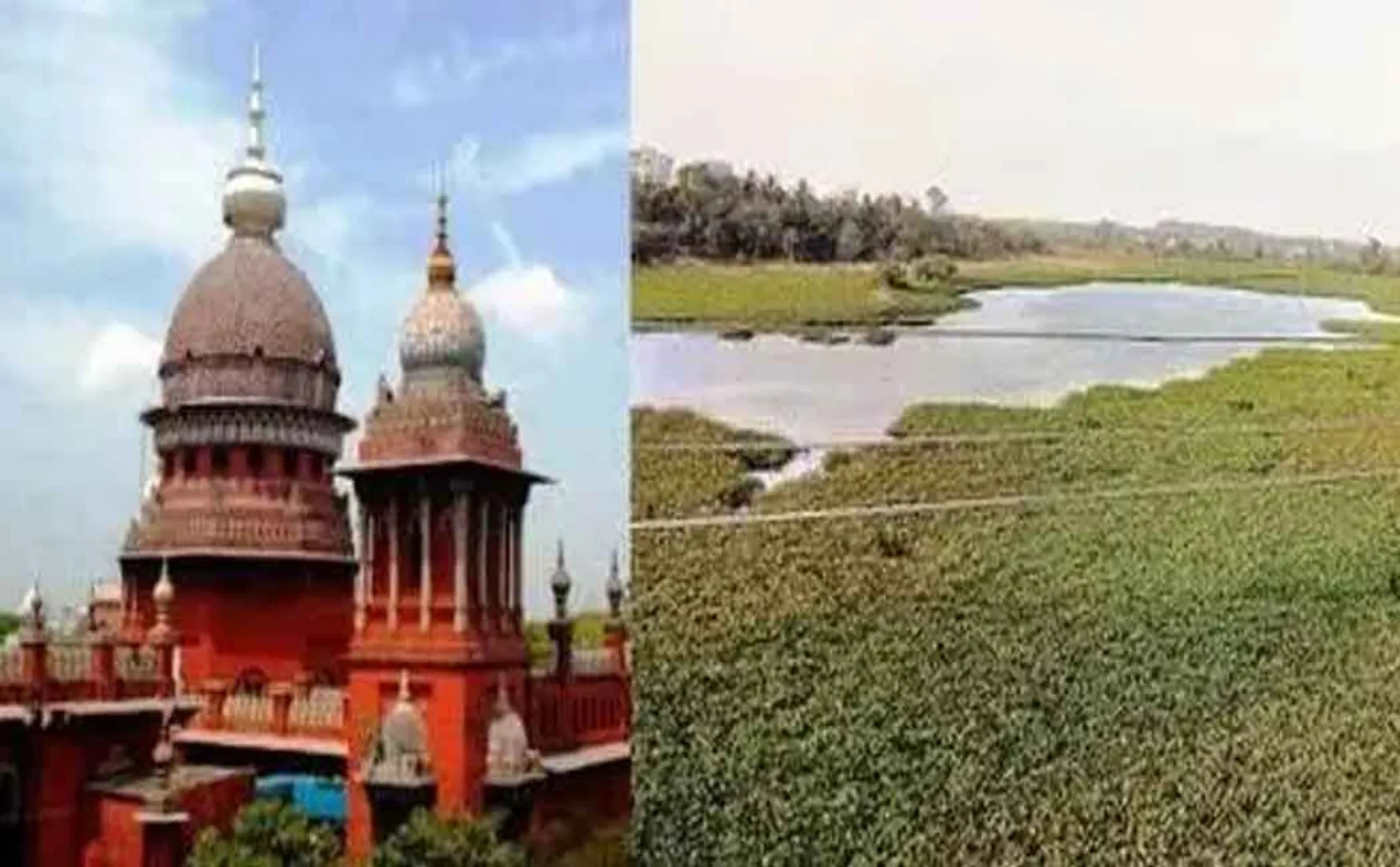 Melmaruvathur watershed encroachments: Collector ordered to file report on activities