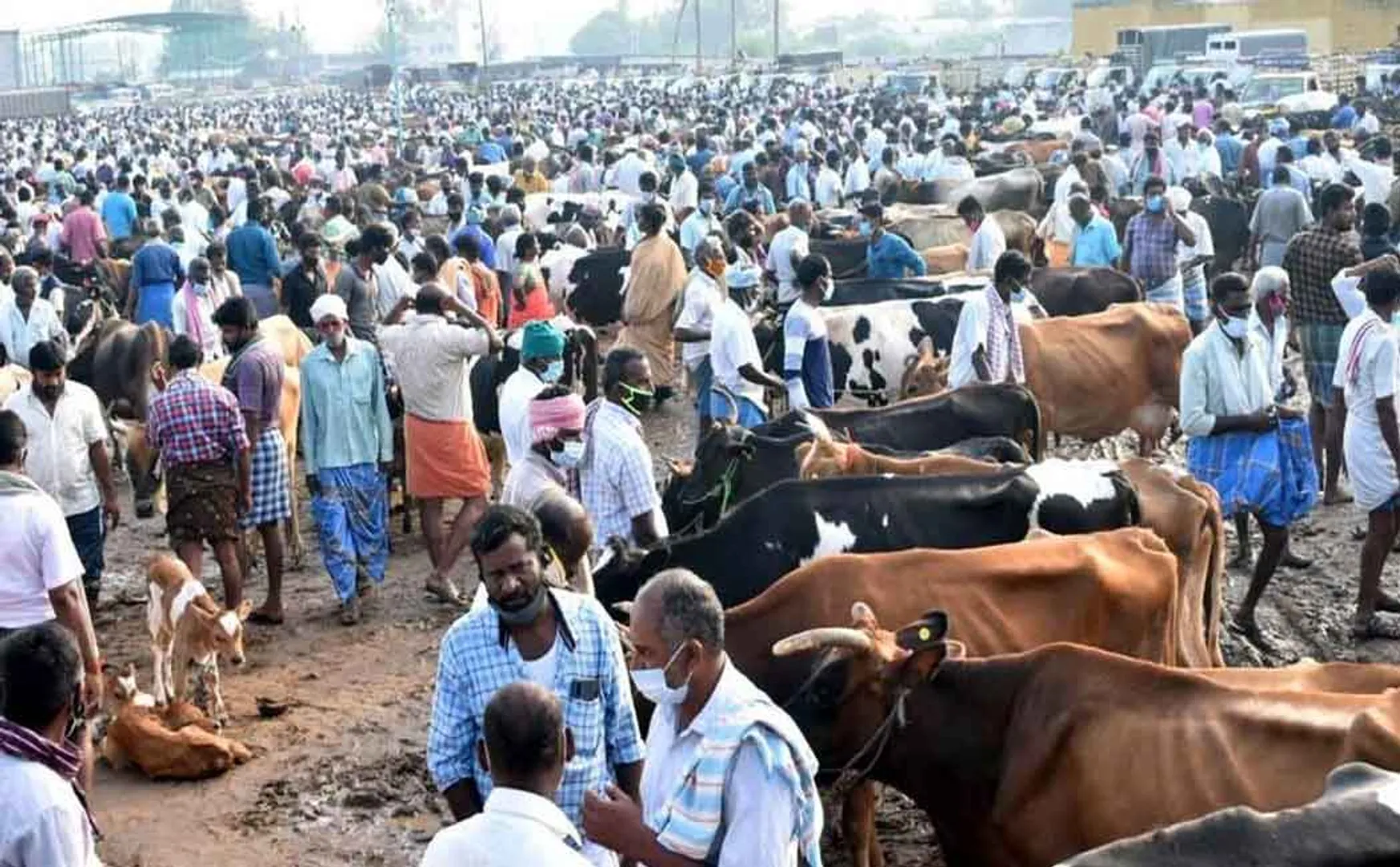 Sales sluggish due to non-arrival of other state traders