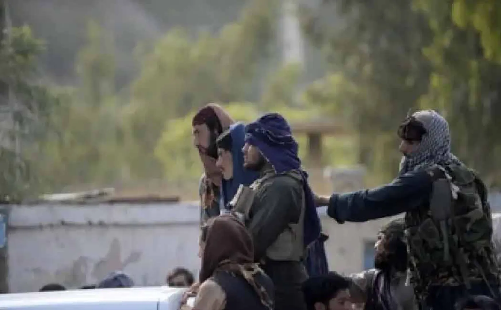 taliban 
