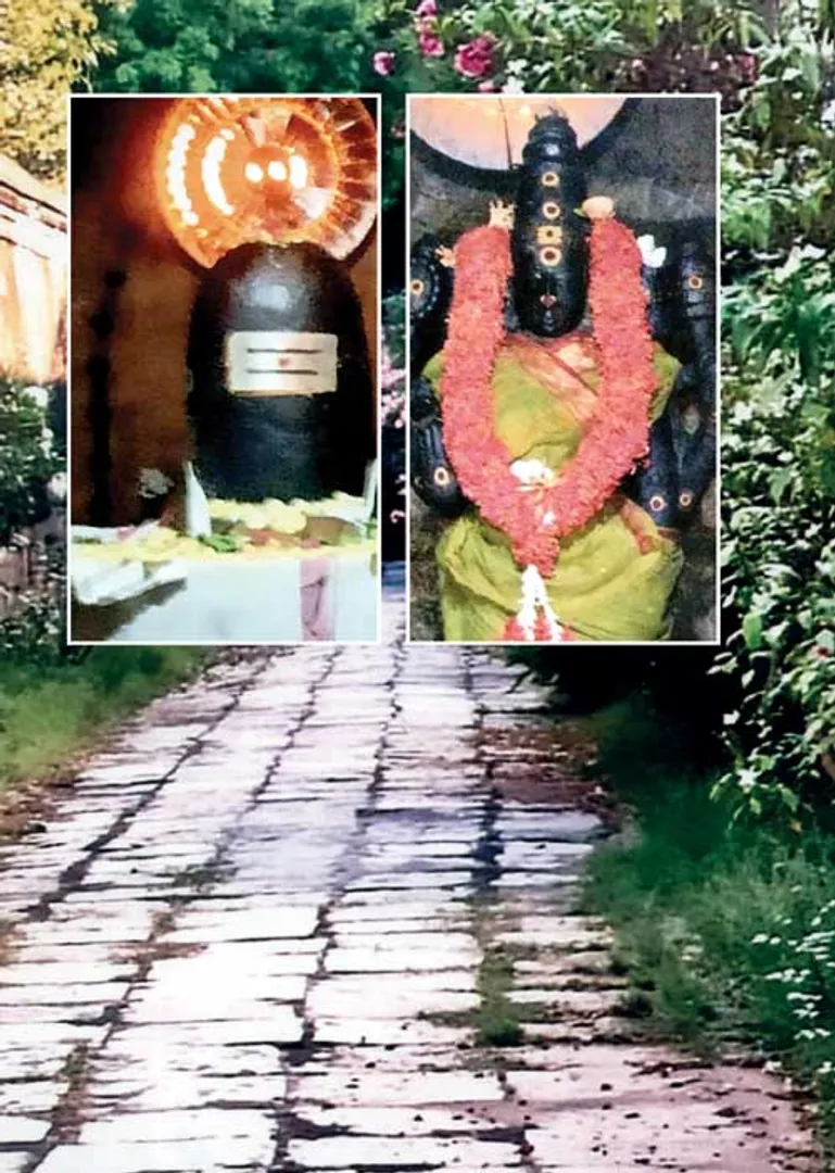 /idhalgal/om/eason-removes-curse-pitru-and-lives-brighter-life-coimbatore-arumugam